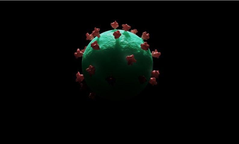 COVID-19 может вызвать запуск самоатакующих антител