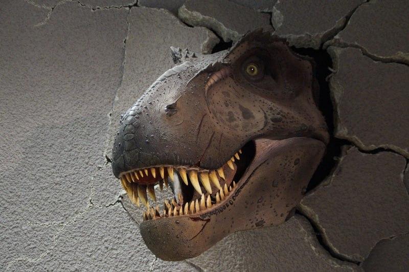 Ученые рассказали о новом виде гигантских динозавров
