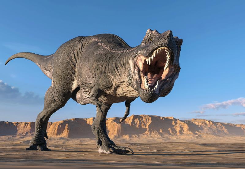 Ученые: интеллект тираннозавров был сильно переоценен