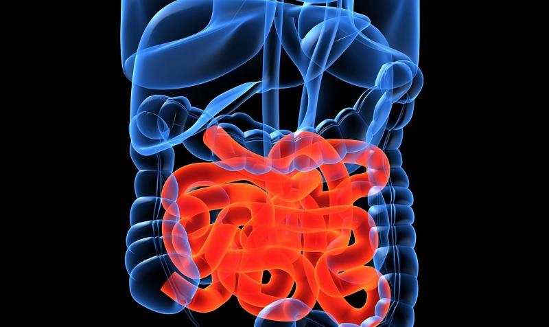 Ученые: воспалительные заболевания кишечника можно обнаружить при рождении