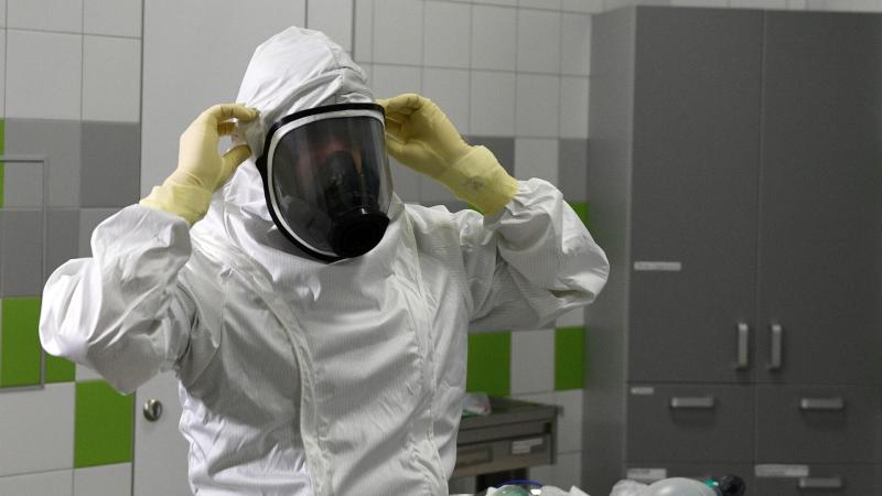 Nature: возбудитель эпидемии чумы XIV века появился в Центральной Азии