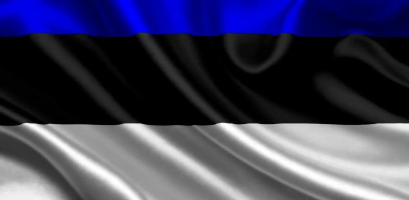 Эстонцы массово едут в Россию для выгодных покупок