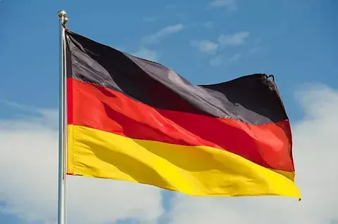 FAZ: 52% немцев выступили против запрета «Альтернативы для Германии»