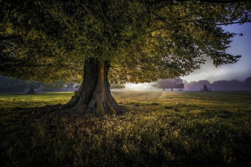 Nature: в осадках по всему миру растет концентрация трифторуксусной кислоты