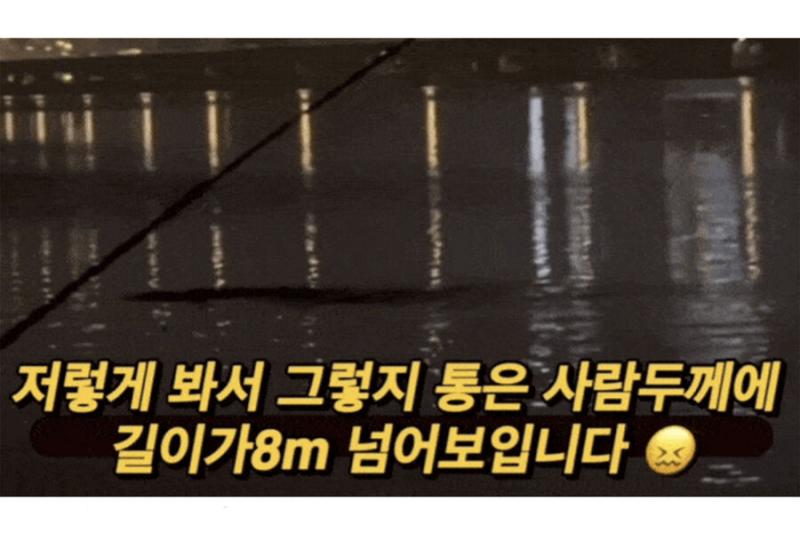 The Korea Herald: рыбак в Южной Корее снял на видео неопознанное существо