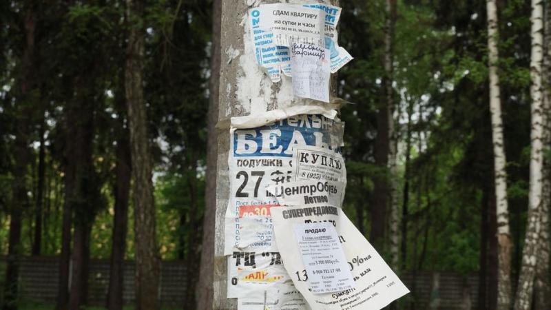 МВД: мошенники размещают поддельные QR-коды в общественных местах