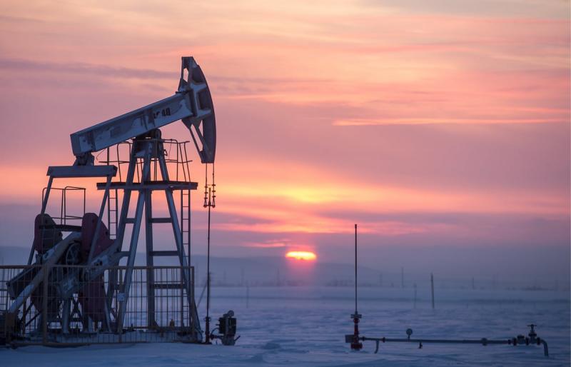 Акционеры ирландской PetroNeft Resources приняли решение о ликвидации компании