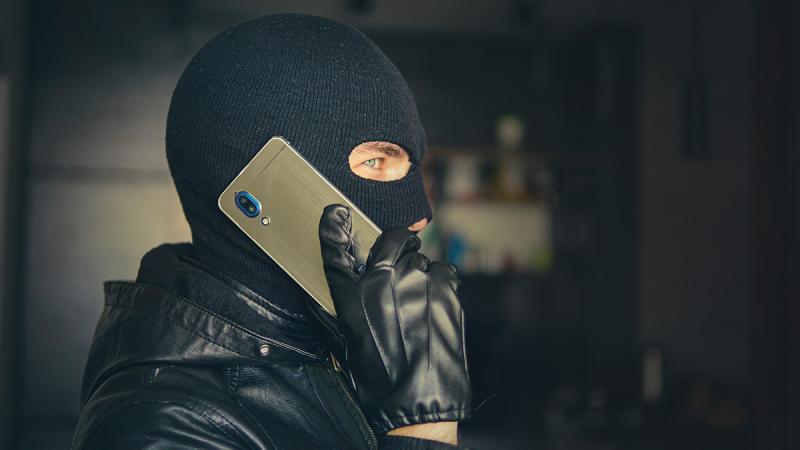 МВД: Мошенничество в сфере инвестиций занимает первое место среди схем обмана россиян