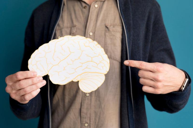 Neuron: крошечный участок мозга разделяет воспоминания