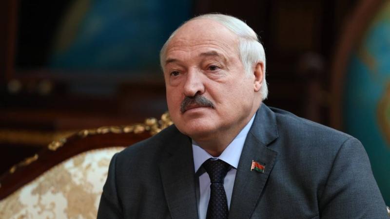 Лукашенко заявил, что собрал картошку для Путина и Си Цзиньпина