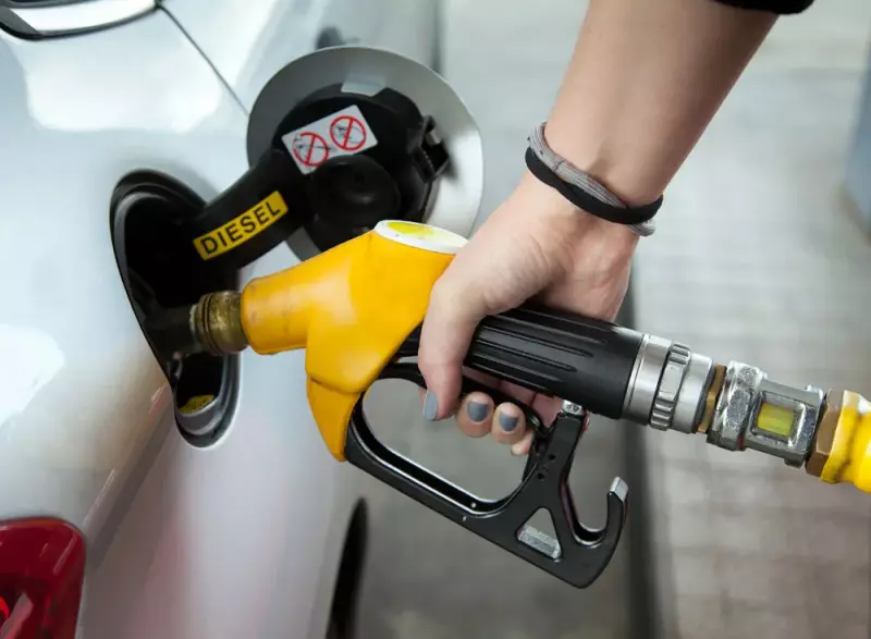 Эксперт сообщил о достаточном запасе бензина в России несмотря на ремонты НПЗ