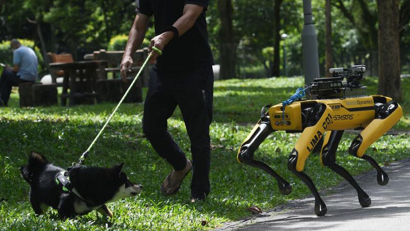 SCMP: китайские ученые тестируют роботов-собак для будущих миссий на Луну