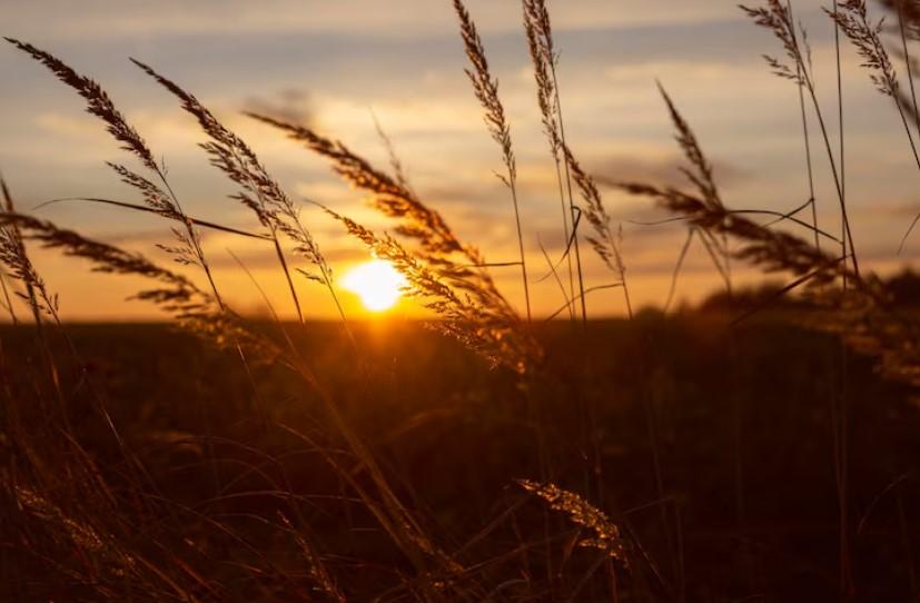 Врач Пономарева объясняет, как недостаток витамина D может проявляться в боли в костях