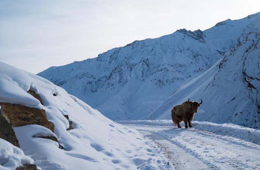 Якутия стала местом массового паломничества для иностранных туристов