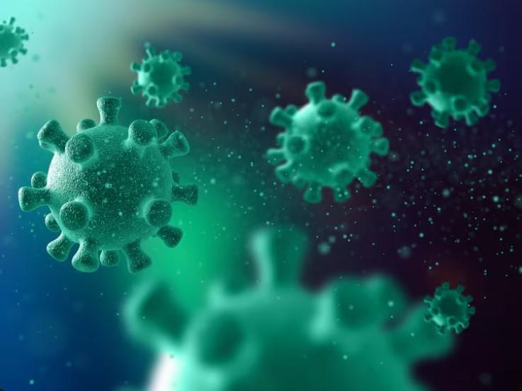 Нейрогастроэнтеролог Симаков рассказал, как выявить и победить Helicobacter pylori