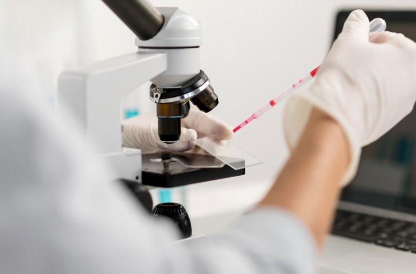 В НовГУ выяснили роль В‑лимфоцитов в развитии бронхиальной астмы у молодёжи