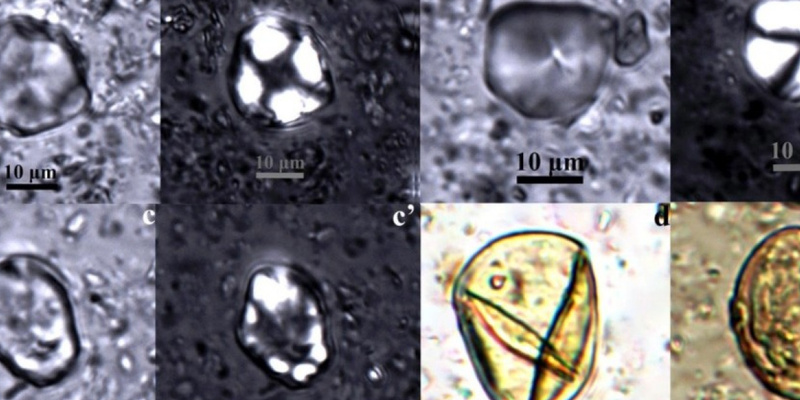 Китайские учёные нашли в гробнице эпохи Хань алкоголь возрастом около 2000 лет