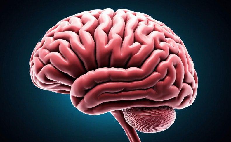 Китай планирует внедрить технологию «мозг-компьютер» в практику через 3-5 лет