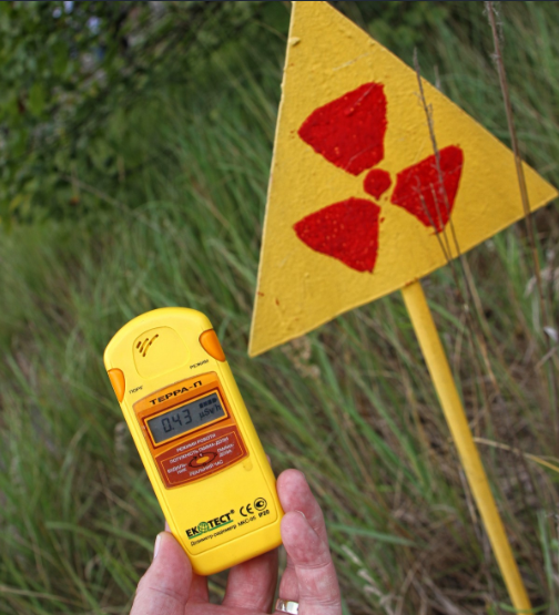 Учёные МГУ выявили маркеры для контроля радиационной обработки продуктов