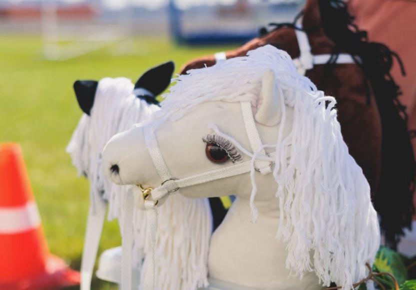 Слово «хоббихорсинг» может появиться в словарях русского языка