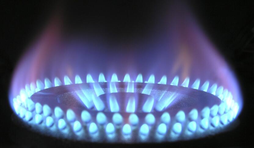 Байрактар на форуме в Анталии заявил о незаменимости «Турецкого потока» после угроз атак